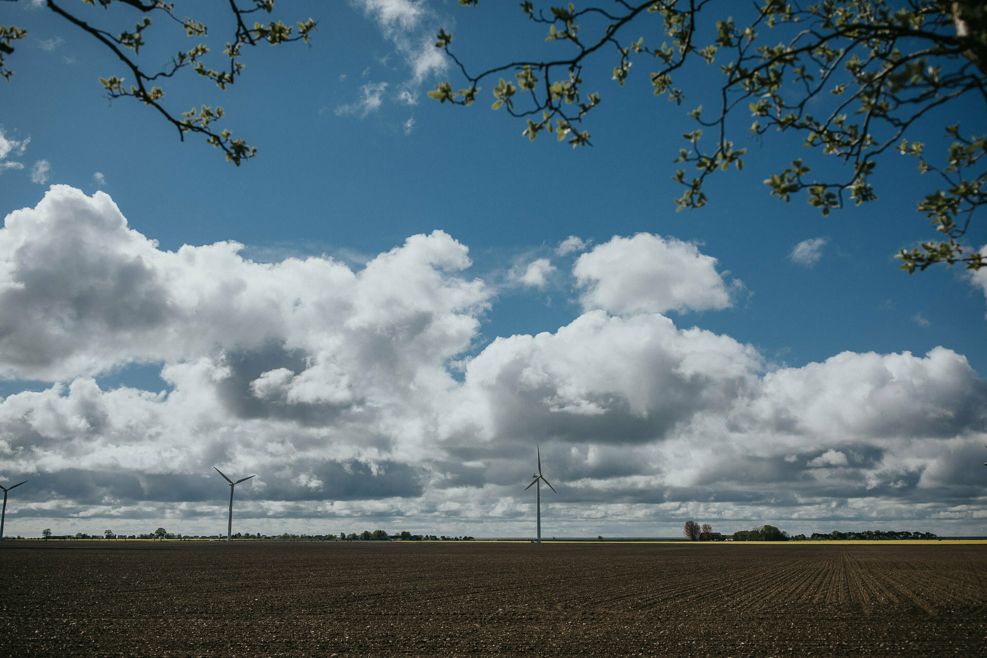 Bröllopsfotograf Holmanäs gård skåne